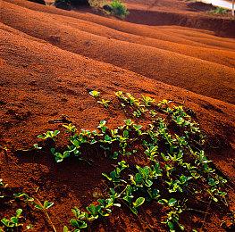 发售十周年，火线迈阿密1+2典藏版黑胶来袭
